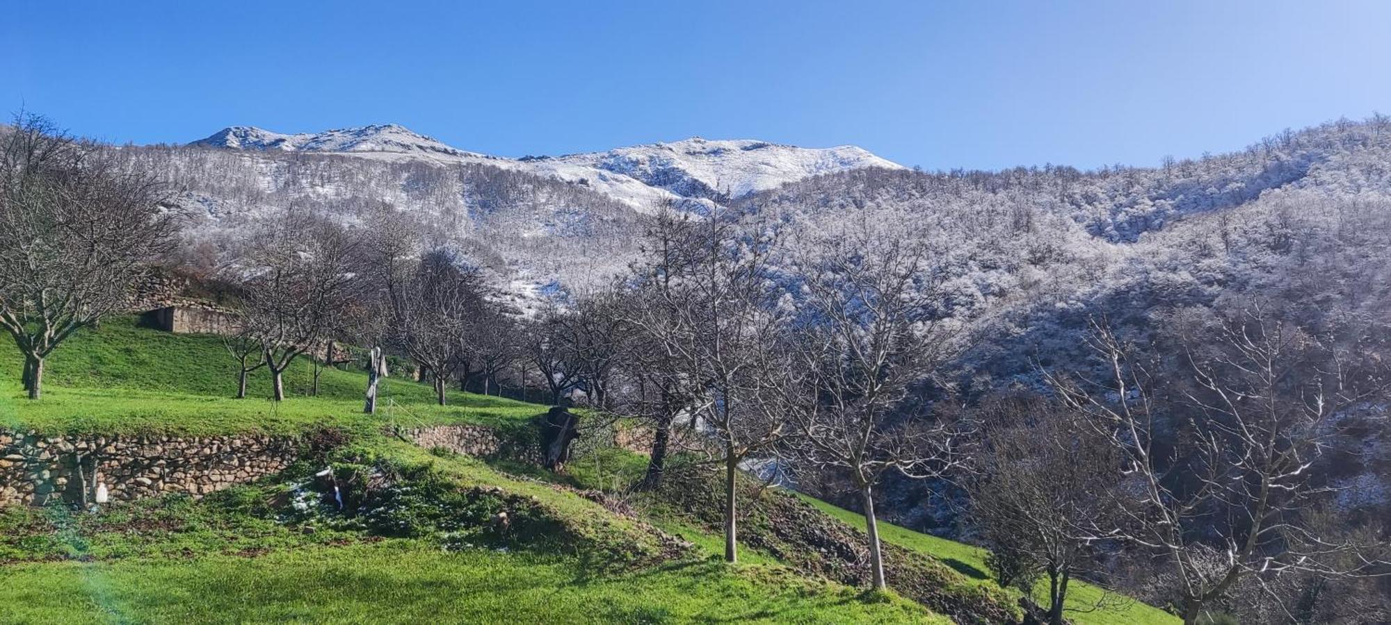 Nuestra Casa De Luriezo Villa Cabezón de Liébana Buitenkant foto