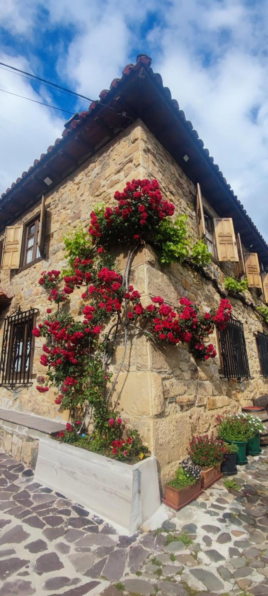 Nuestra Casa De Luriezo Villa Cabezón de Liébana Buitenkant foto